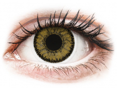 Dark Hazel contact lenses - SofLens Natural Colors - Power (2 monthly coloured lenses)