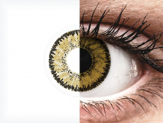 Dark Hazel contact lenses - SofLens Natural Colors (2 monthly coloured lenses)