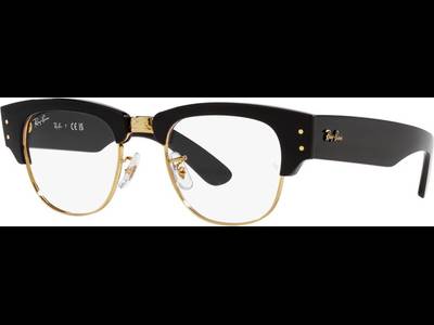 Ray-Ban RX0316V 2000 